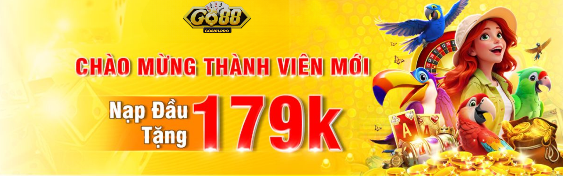 Banner www.adnbusana.com